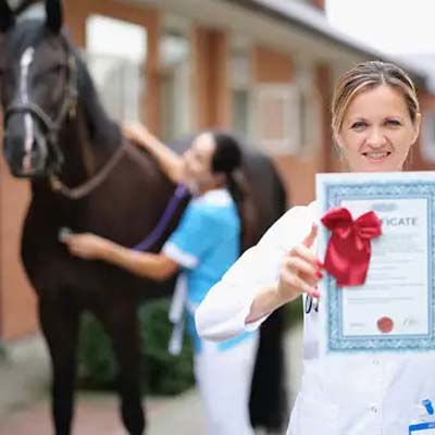 a person holding a certificate and a horse