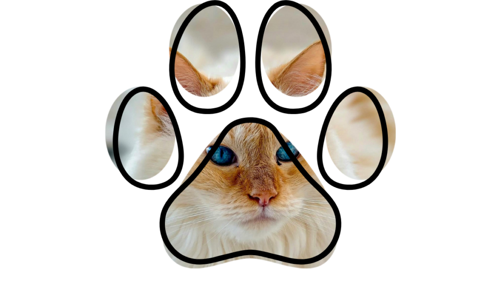 Healthy pets with vet near me care in Byron NY