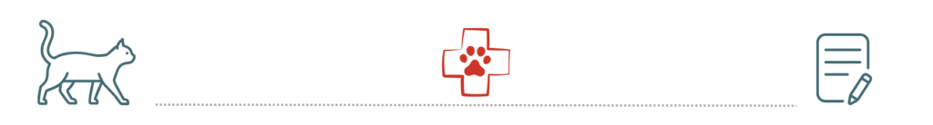 preventive care and pet insurance discussion at Pumpkin Hill Veterinary Clinic Byron NY